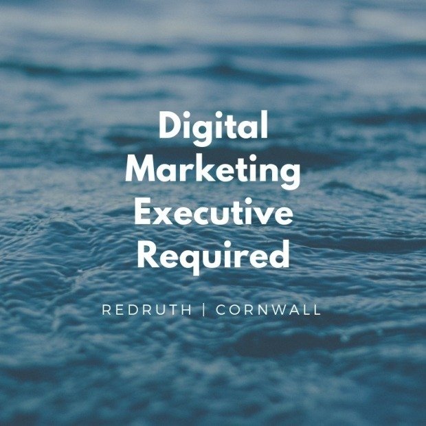 Digital Marketing Executive Required At Furniture World