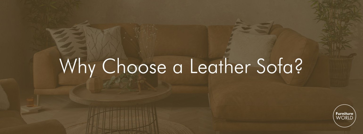 Why Choose a Leather Sofa? Is It the Right Choice for You? | Furniture ...