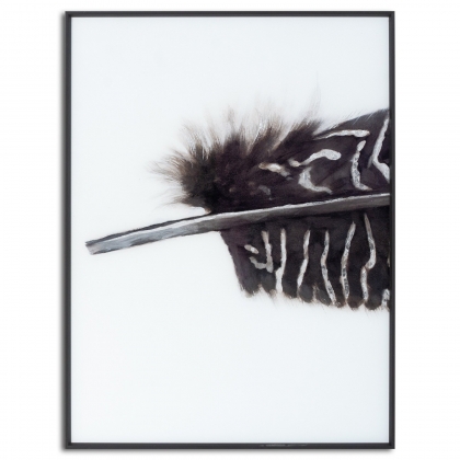 Black Feather With White Spots Over 3 Black Glass Frames