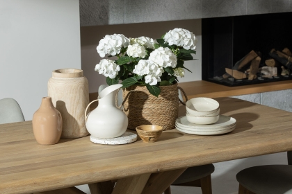 Flynn Natural Oak 200cm Dining Table Set Inc 180cm Bench & 4 Noah Chairs Flynn Natural Oak 200cm Dining Table Set Inc 180cm Bench & 4 Noah Chairs