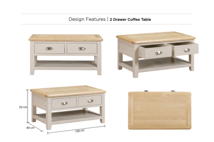 Windermere Painted Oyster Grey Oak 2 Drawer Coffee Table