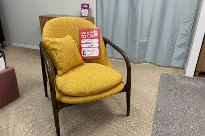 Ex-Display St Austell - Gallery Direct Alegra Arm Chair