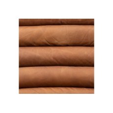 Datsun Antique Brown Sample