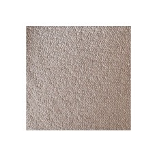 Tarnby Taupe Sample