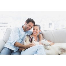 Staingard Upholstery Fabric Care Kit