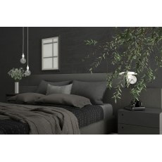 Staingard Bed Care Kit