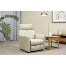 Rowan Leather Fixed Chair Rowan Leather Fixed Chair