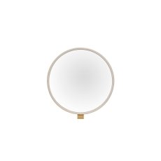 Lily Painted Mahogany Gallery Mirror