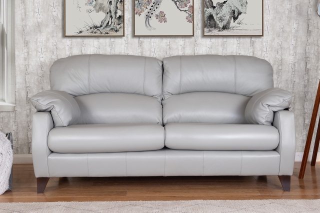 Gray leather store sofa sets
