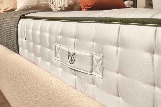 Bloom bed in clearance a box
