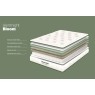 Silentnight Bloom Plant Based Slimline Premium Base Divan Bed Silentnight Bloom Plant Based Slimline Premium Base Divan Bed