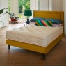 Hypnos Legacy Origins III Pocket Firm Edge Shallow Base Divan Bed Hypnos Legacy Origins III Pocket Firm Edge Shallow Base Divan Bed