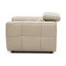 Monaco Arm Chair with Power Recliner and Headrest Monaco Arm Chair with Power Recliner and Headrest