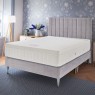 Kaymed Therma Phase Ultra Paradise 1600 Firm Edge Tapered Leg Bed Kaymed Therma Phase Ultra Paradise 1600 Firm Edge Tapered Leg Bed