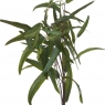 Hill Interiors Online Eucalyptus Nicholii Spray Artificial Plant