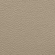 pebble swatch