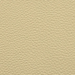 ivory swatch