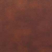 Intense Chestnut