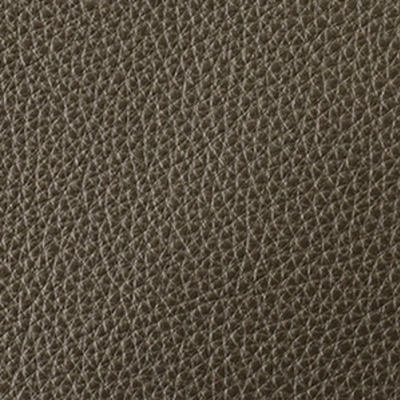 Squirrel Grey