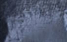 8712 Midnight Silky Plain Velvet