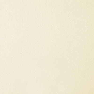 Cashmere 1000 Silk