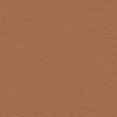 N001 Texas Tan