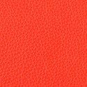 Blaze Red