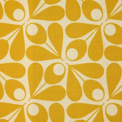 Acorn Cup Cream/ Dandelion