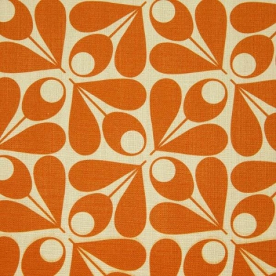 Acorn Cup Cream/ Orange