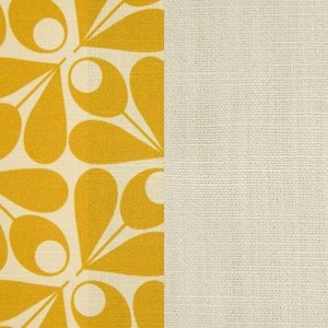 Acorn Dandelion with Foyle Cream