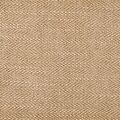 Darwin Barley 50365