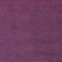 Divine Plum