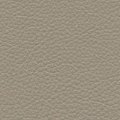N808 Taupe