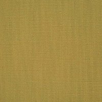 Foyle Olive