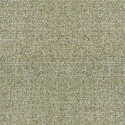 W122 Speckle Vine