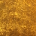 Modena Gold