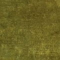 Modena Moss