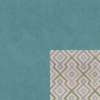 Festival Ocean - Carnaby Ocean - Festival Ocean