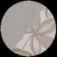 dallas silver - camelia summer