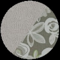 dallas silver - camelia winter