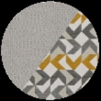 dallas silver - nikon gold