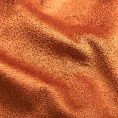 Plush Burnt Orange