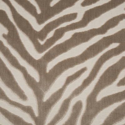 Kenya Fawn