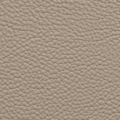 Pebble