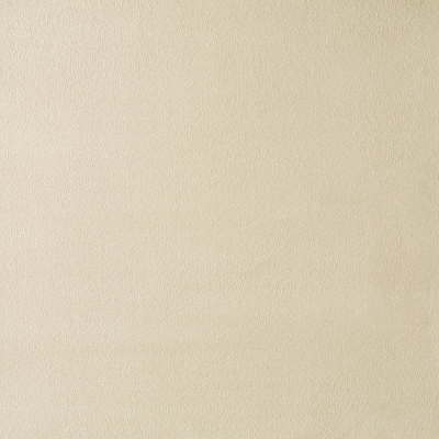 409 Faux Suede Champagne