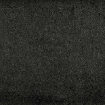 Daytona Coal