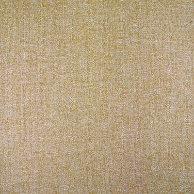 B173 Dune Amber