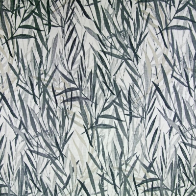 C347 Botany Zen