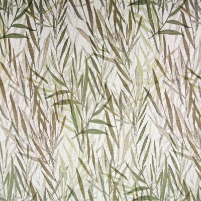 C351 Botany Hedgerow