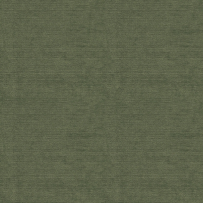 B281 Liso Kelp
